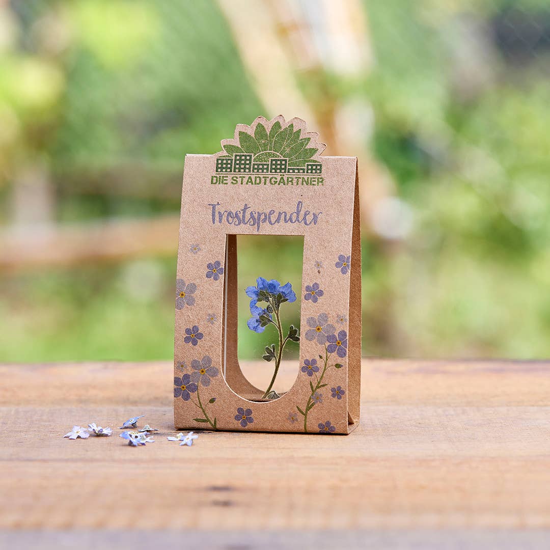 Voeux Fleurs Myosotis bleu (entre deux vitres)