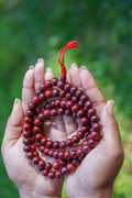 Collier Mala apaisant en bois de rose NEPAL