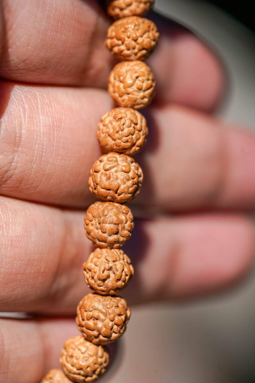 Bracelet en perles Rudraksha naturelles