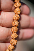 Bracelet en perles Rudraksha naturelles