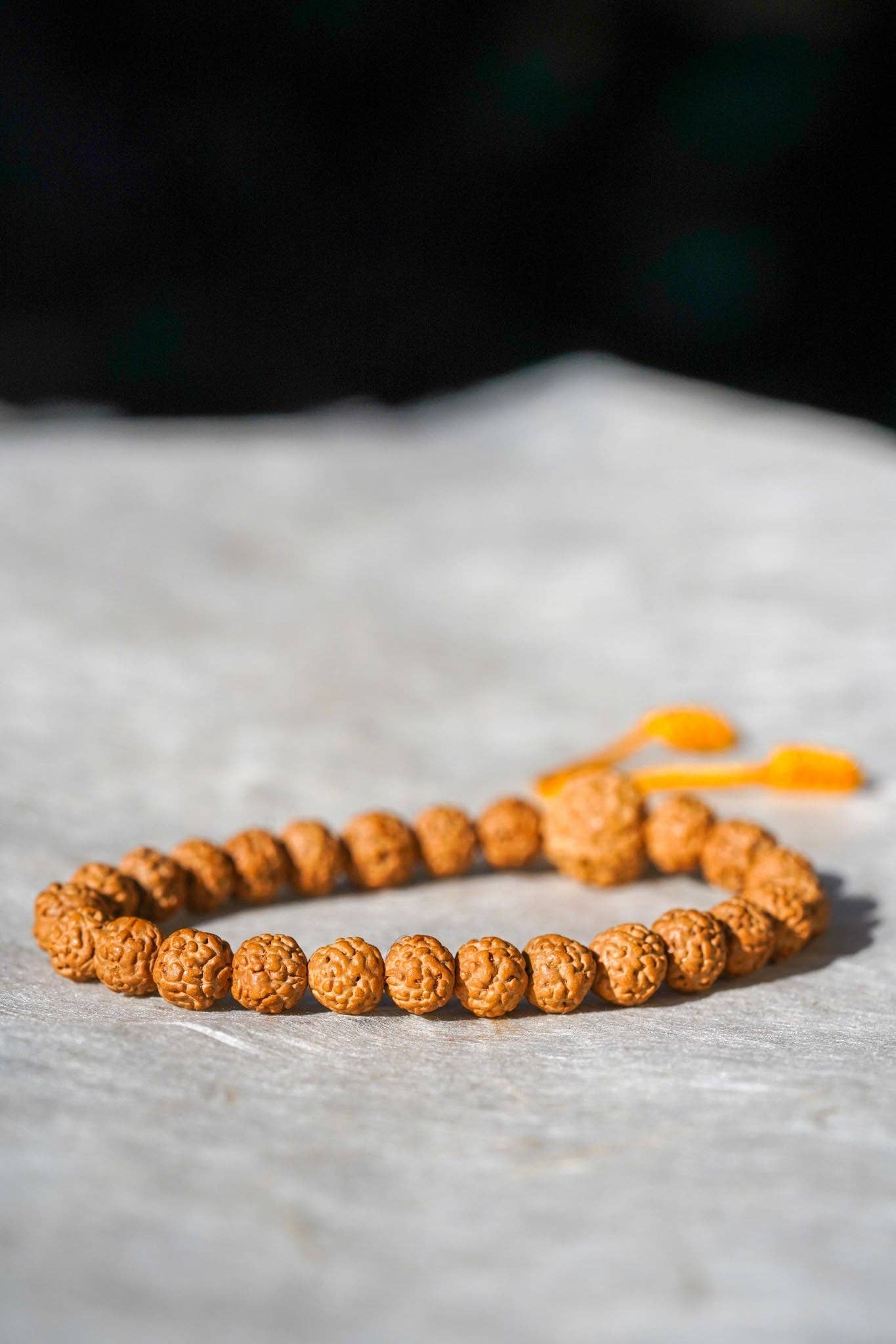 Bracelet en perles Rudraksha naturelles