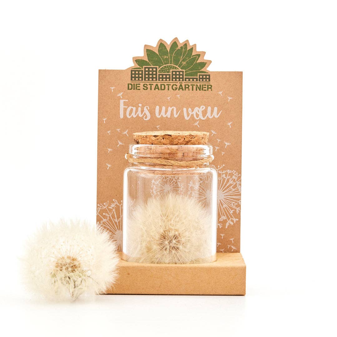 Faiseur de souhaits