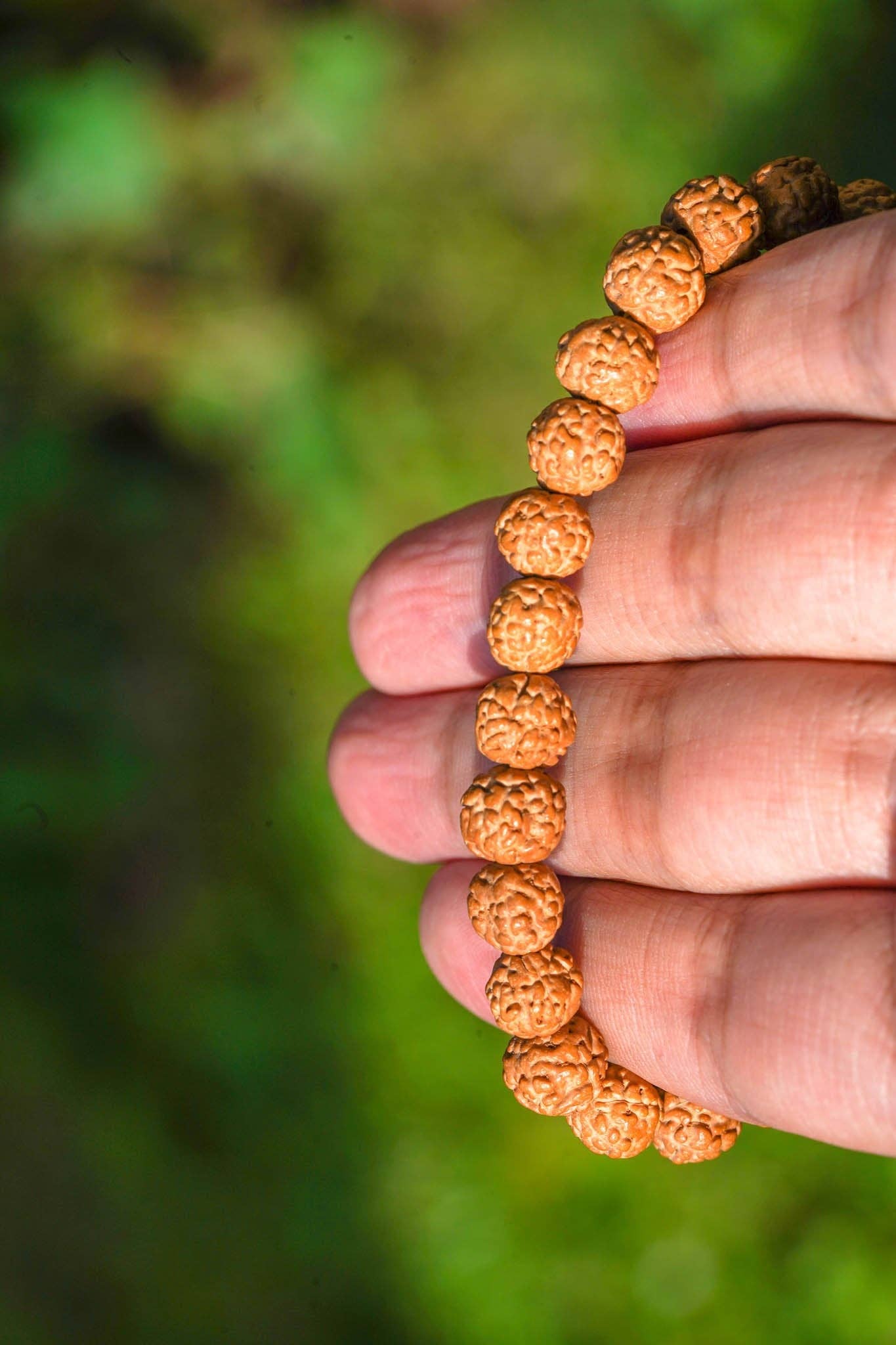 Bracelet en perles Rudraksha naturelles