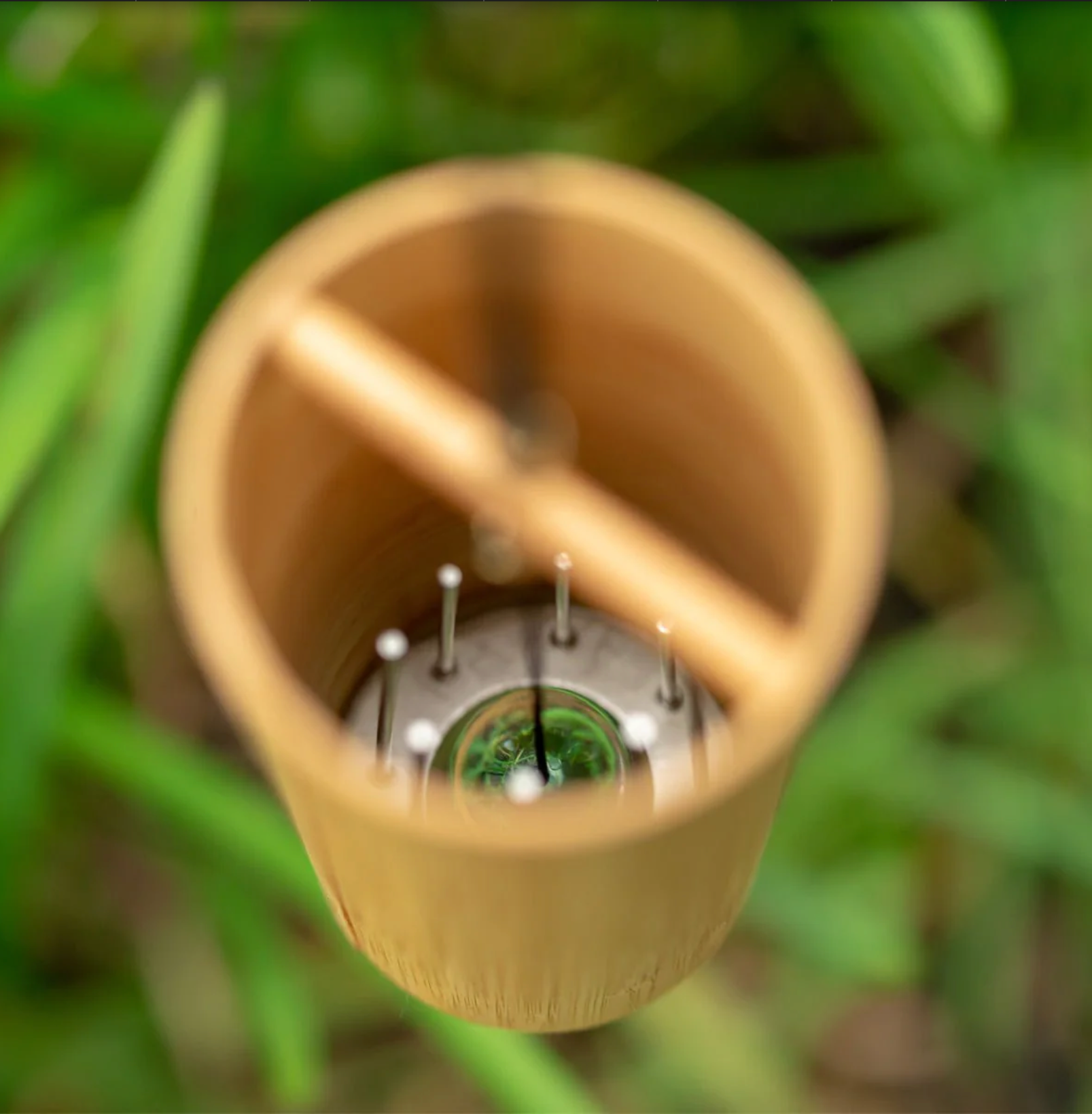 Koshi Carillon