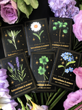 Intention / Graines à Semer Rituel de Lune