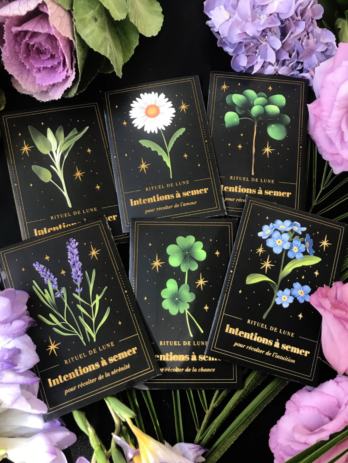 Intention / Graines à Semer Rituel de Lune