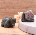 Tortue 50mm Agate Indienne A