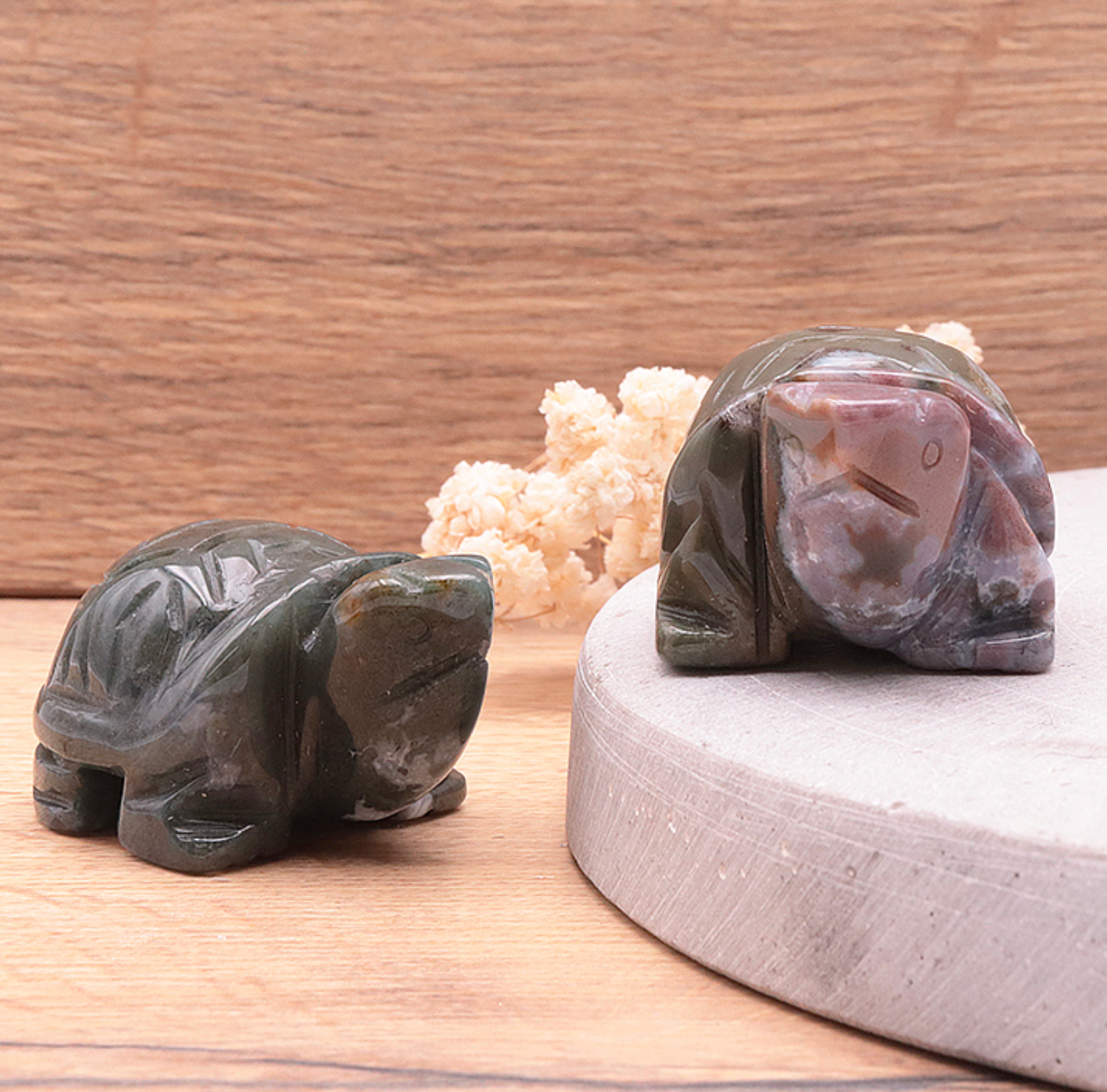 Tortue 50mm Agate Indienne A
