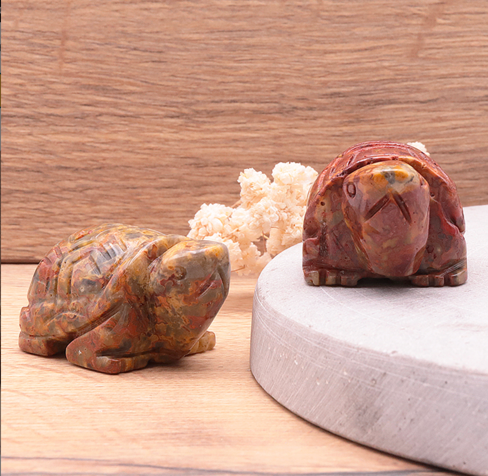 Tortue 50mm Agate Crazy Lace A