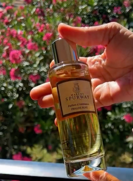 Parfum d'ambiance - Praline Rose - 100ml