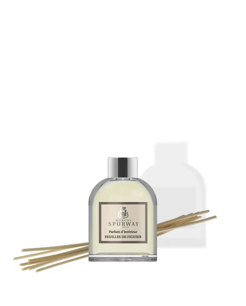 Parfum d Intérieur - Feuilles De Figuier  - Coffret 100ml