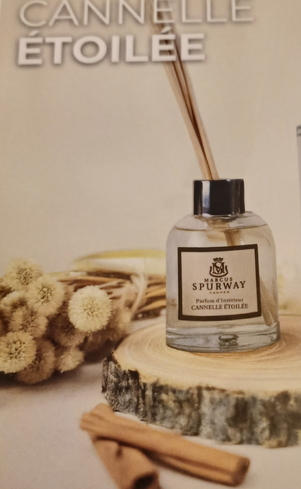 Parfum d Intérieur - Cannelle Etoilée - Coffret 100ml