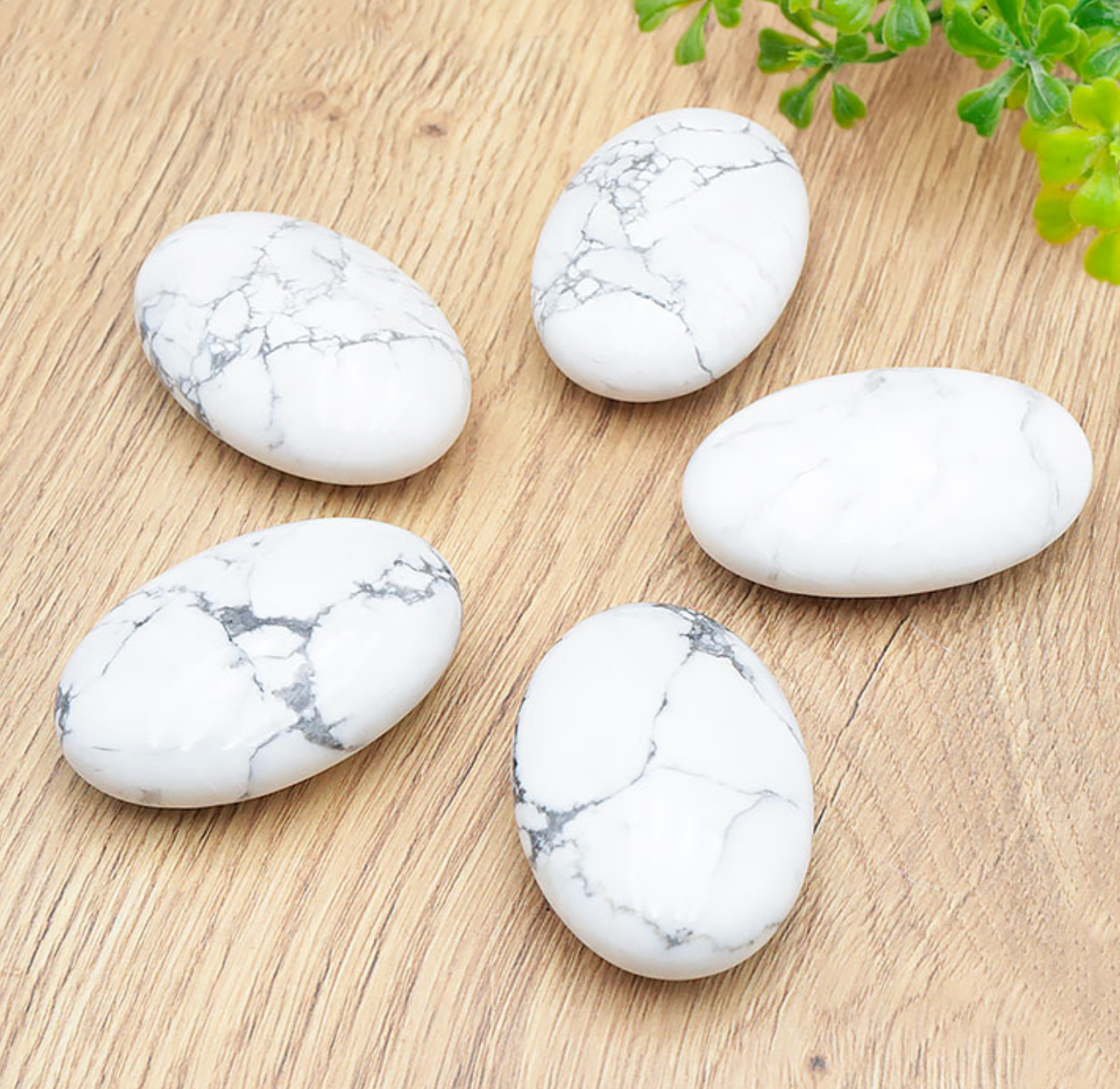 Galet 60mm Howlite blanche A Zimbabwe (1 pièce)