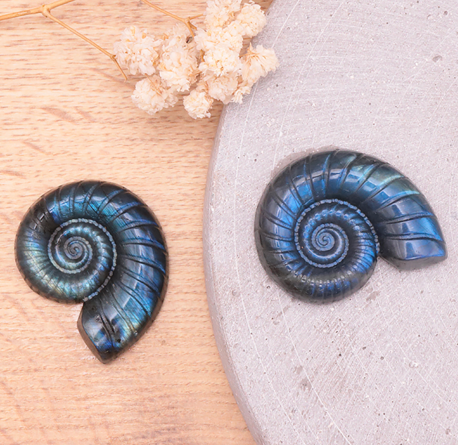Escargot 40mm Labradorite AA+ (1 piece)