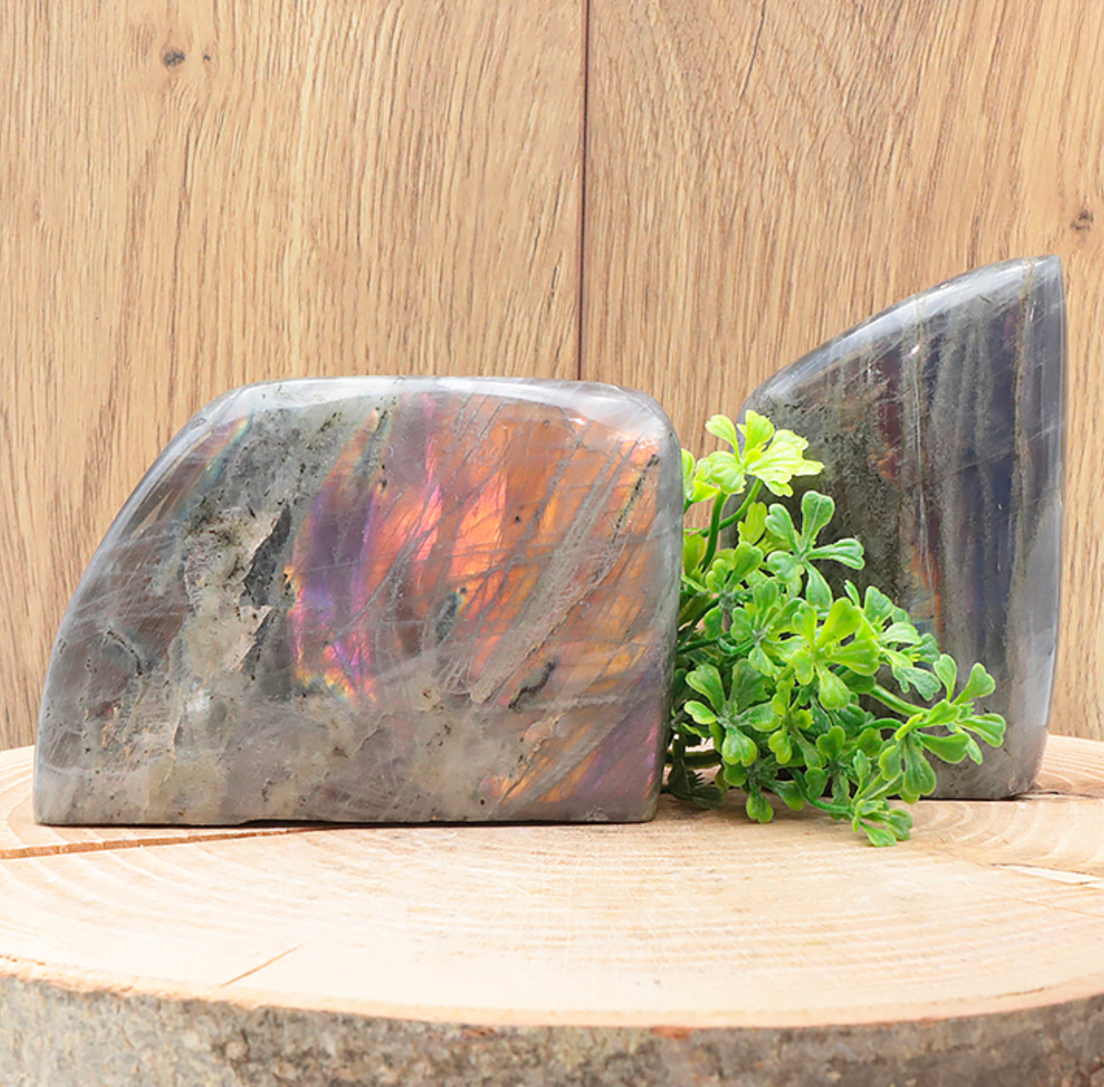Forme libre Labradorite violette AA (pièce de 351g)