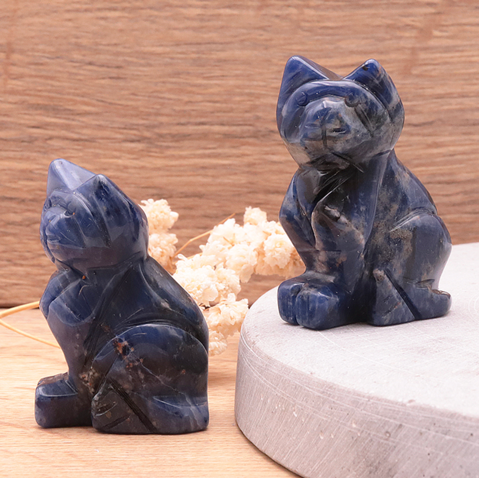 Chat 50mm Sodalite A (1 pièce)