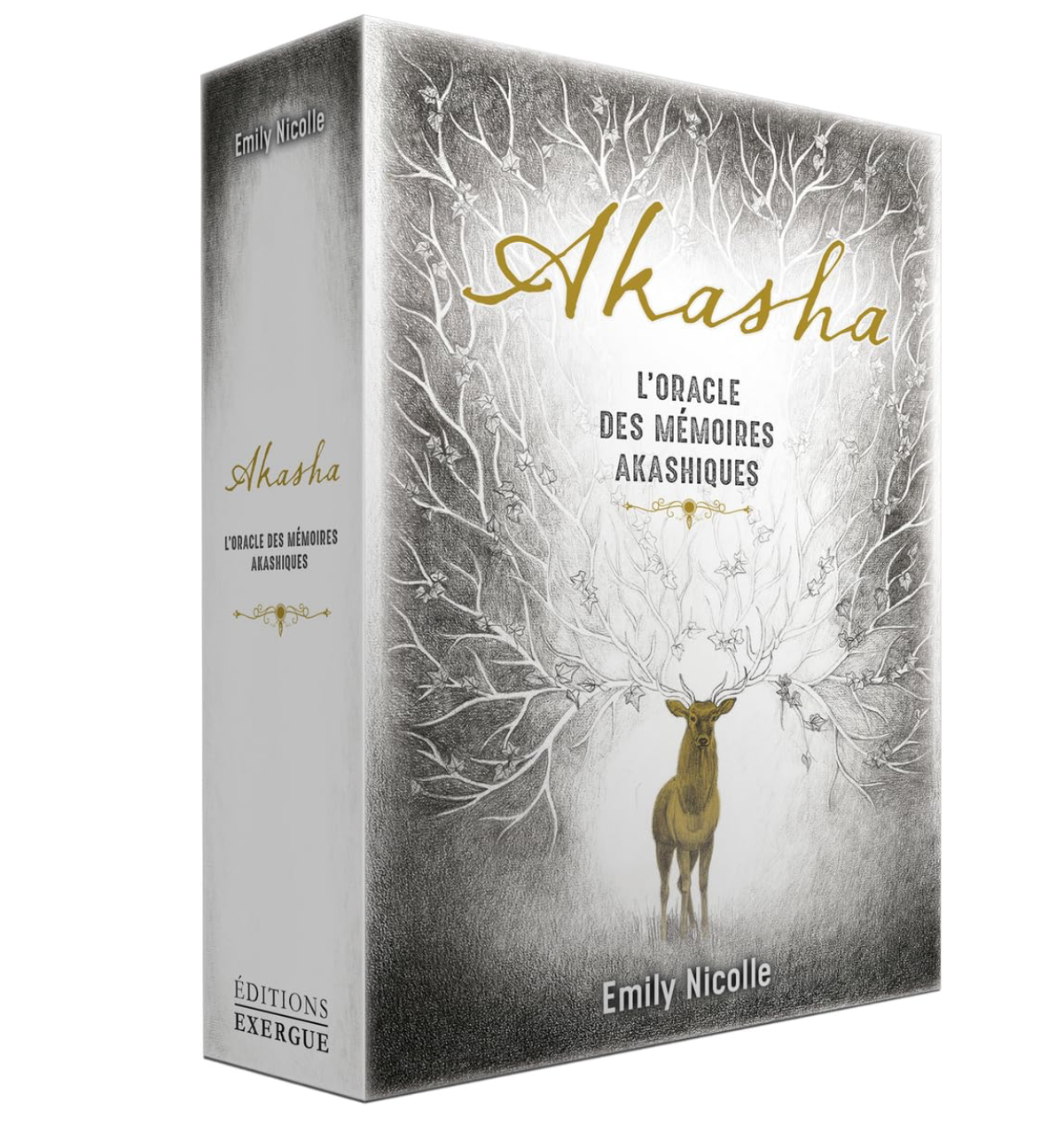 AKASHA - L'oracle des mémoires Akashiques Emily Nicolle