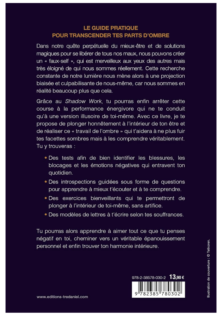 LE SHADOW WORK D'ISABELLE CERF - LE JOURNAL QUI ECLAIRE TES PARTS D'OMBRE ISABELLE CERF