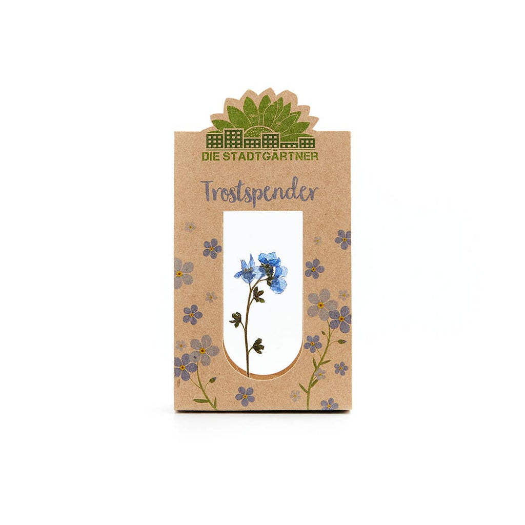 Voeux Fleurs Myosotis bleu (entre deux vitres)