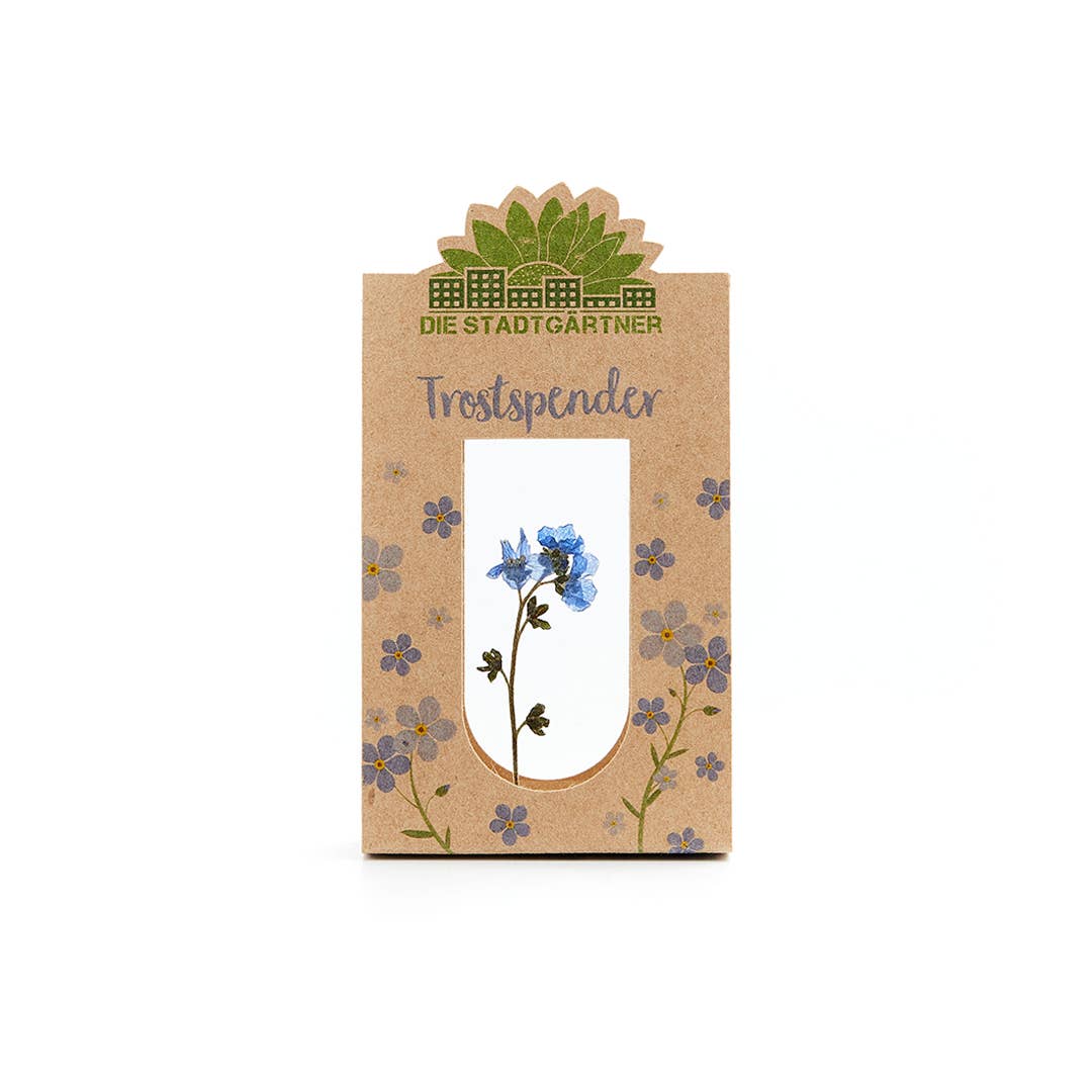 Voeux Fleurs Myosotis bleu (entre deux vitres)