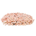 Chips de Pierre de Soleil sachet 50 gr